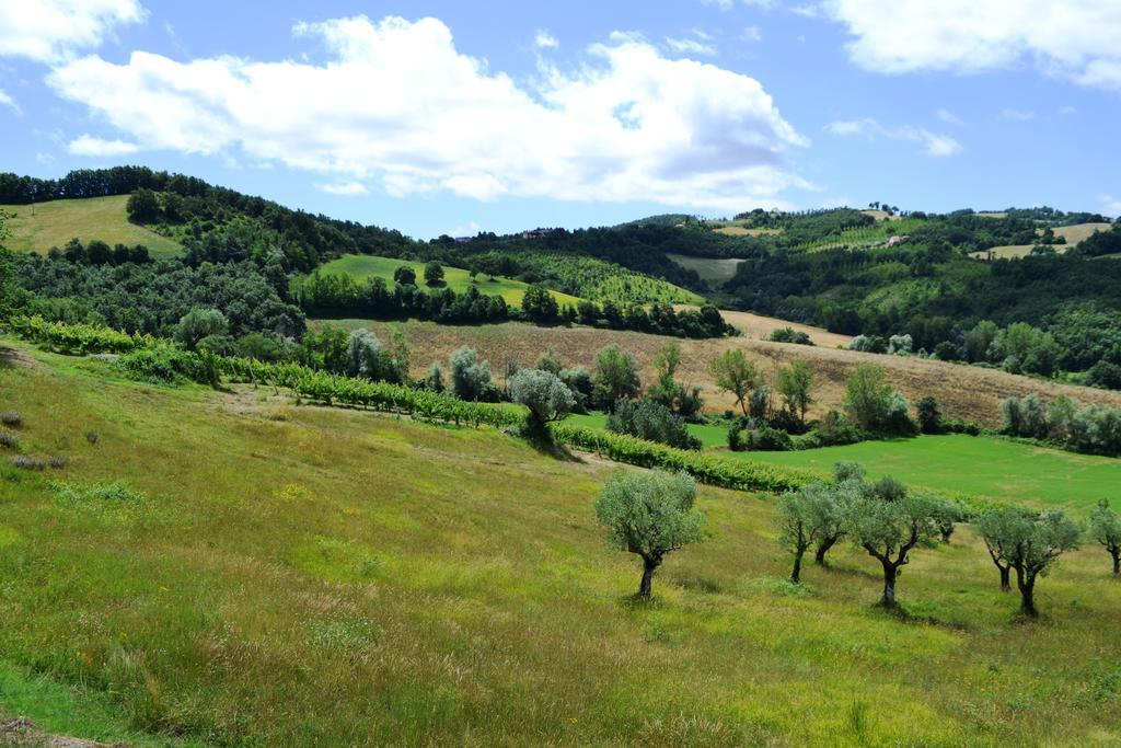 Agriturismo Marano Mengara Exterior photo